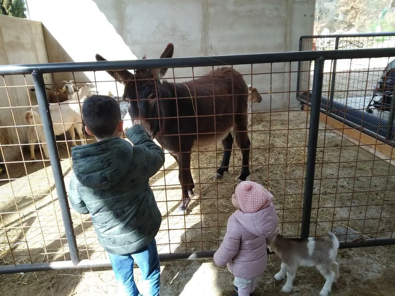 קורטונה Agriturismo Fattoria Podere Peciano 0*,  איטליה
